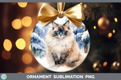 GorgeousWinter Snow Ornament design.