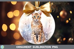 GorgeousWinter Snow Ornament design.