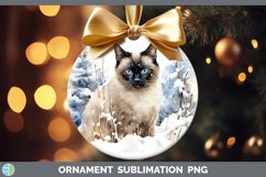 GorgeousWinter Snow Ornament design.