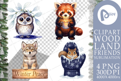 Winter Solstice Whisper Sublimation Product Image 1
