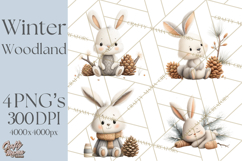 Cozy Winter Animals Clipart PNG, Neutral Woodland Critters Product Image 1
