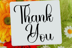 Winter Product Image 8