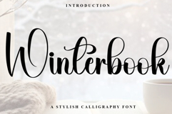 Winterbook Product Image 1