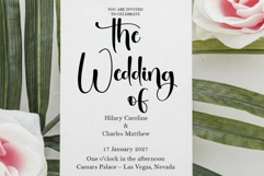 Winterdaily Product Image 8