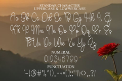 Winterday Amsterdam Product Image 7