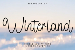 Winterland Product Image 1