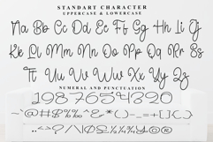 Winterland Product Image 4