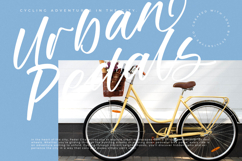 Winters Times - New Modern Script Font Product Image 11