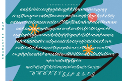 Winters Times - New Modern Script Font Product Image 19