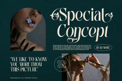Wiraile Typeface Product Image 2