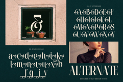 Wiraile Typeface Product Image 8