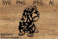 Wirehaired Dachshund Svg/Png/Jpg/Ai/Vector purebred breed Product Image 1
