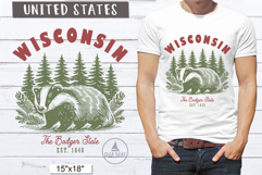 Wisconsin PNG Vintage United States Sublimation Design