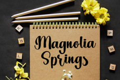 Wise Heart Product Image 4