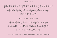 Wildmaker Script Product Image 9