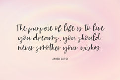 Wildmaker Script Product Image 4