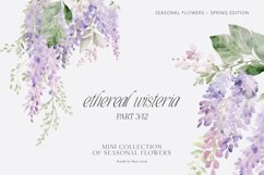 Wisteria Floral Watercolor Collection, Wisteria Clipart Product Image 1