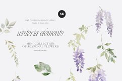 Wisteria Elements Watercolor Collection, Wisteria Clipart Product Image 3