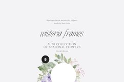 Wisteria Floral Watercolor Collection, Wisteria Clipart Product Image 8
