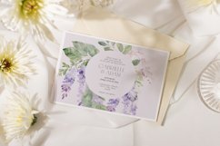 Wisteria Floral Watercolor Collection, Wisteria Clipart Product Image 5