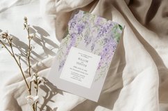 Wisteria Floral Watercolor Collection, Wisteria Clipart Product Image 3