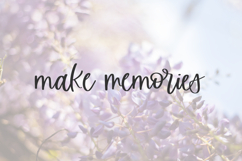 Wisterian Script Font Product Image 2