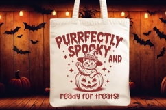 Witch Cat SVG PNG, Spooky Season SVG, Vintage Halloween Product Image 2