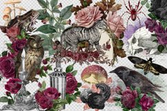 Witch Ephemera Clipart Product Image 3