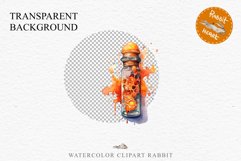 Witch Poison Bottles Scary Halloween Clipart PNG Scrapbooking Art Tale Image Watercolor Transparent Print illustration sublimation creepy printable digital watercolor scary halloween Poison Bottles, victorian clipart, sublimation nursery, fall autumn