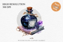 watercolor scary halloween Poison Bottles, victorian clipart, sublimation nursery, fall autumn Witch Poison Bottles Scary Halloween Clipart PNG Scrapbooking Art Tale Image Watercolor Transparent Print illustration sublimation creepy printable digital