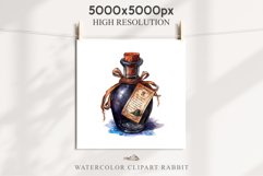 Witch Poison Bottles Scary Halloween Clipart PNG Scrapbooking Art Tale Image Watercolor Transparent Print illustration sublimation creepy printable digital watercolor scary halloween Poison Bottles, victorian clipart, sublimation nursery, fall autumn