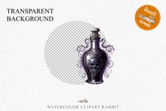 Witch Poison Bottles Scary Halloween Clipart PNG Scrapbooking Art Tale Image Watercolor Transparent Print illustration sublimation creepy printable digital watercolor scary halloween Poison Bottles, victorian clipart, sublimation nursery, fall autumn