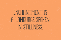 Witchborne Serif Font Product Image 7