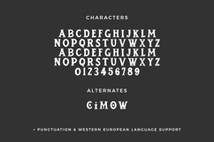 Witchmark Serif Font Product Image 10
