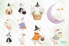 Witchy Goose Sublimation Clipart Set Bundle Product Image 7