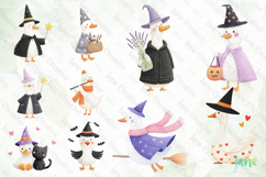 Witchy Goose Sublimation Clipart Set Bundle Product Image 9