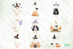 Witchy Goose Sublimation Clipart Set Bundle Product Image 8