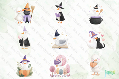 Witchy Goose Sublimation Clipart Set Bundle Product Image 4