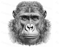 Graphic exotic wild animals portraits for t-shirt design Product Image 4