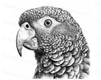 Graphic exotic wild animals portraits for t-shirt design Product Image 2