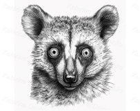 Graphic exotic wild animals portraits for t-shirt design Product Image 3