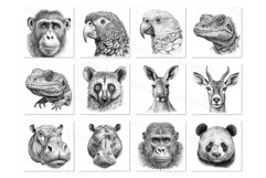Graphic exotic wild animals portraits for t-shirt design Product Image 1