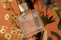 Woglave Elegant Modern Serif Font Product Image 5