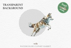 Wolf Forest Animals Clipart PNG Scrapbooking Nursery Art Image Watercolor  Transparent Print invitation shirt designs sublimation kids printable digital  watercolor wolf floral, scrapbooking clipart, sublimation nursery drawing, forest animals