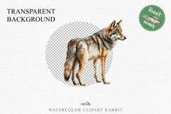 Wolf Forest Animals Clipart PNG Scrapbooking Nursery Art Image Watercolor  Transparent Print invitation shirt designs sublimation kids printable digital  watercolor wolf floral, scrapbooking clipart, sublimation nursery drawing, forest animals