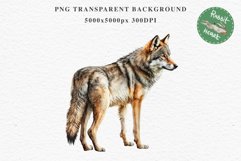 Wolf Forest Animals Clipart PNG Scrapbooking Nursery Art Image Watercolor  Transparent Print invitation shirt designs sublimation kids printable digital  watercolor wolf floral, scrapbooking clipart, sublimation nursery drawing, forest animals