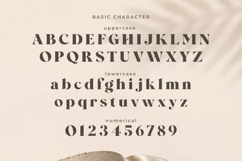Wolffin - Bold Serif Font Product Image 10