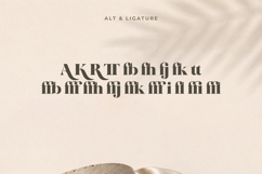 Wolffin - Bold Serif Font Product Image 11