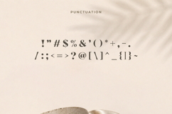 Wolffin - Bold Serif Font Product Image 13