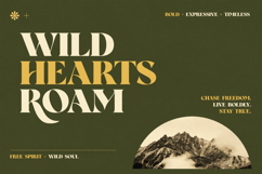 Wolffin - Bold Serif Font Product Image 4